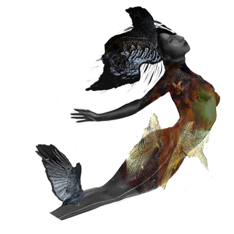 Phoenix Rousiamanis