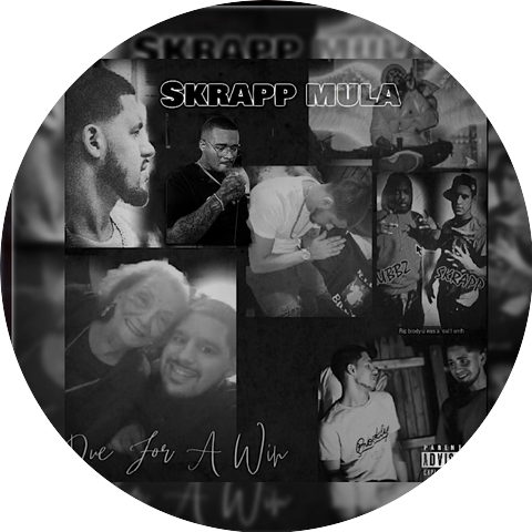 Skrapp mula