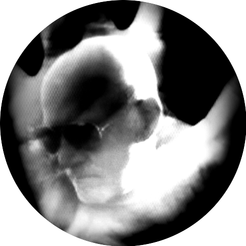 Keith Fabrique
