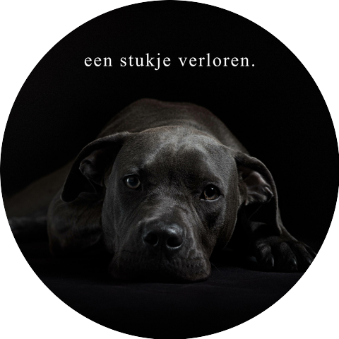 sam van calster