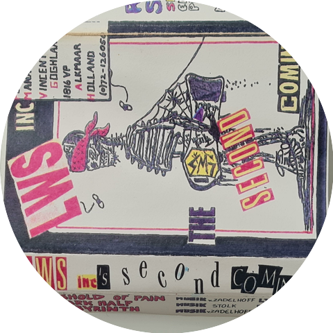 Lunatics Without Skateboards inc.