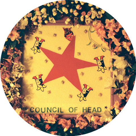 Stupid Head