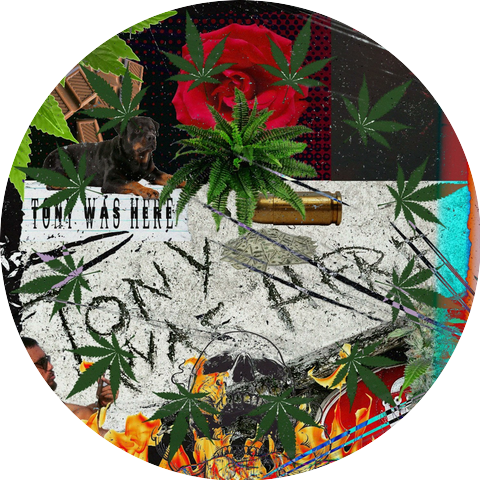 Tony Oh