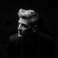 Ozark Henry