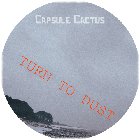 Capsule Cactus