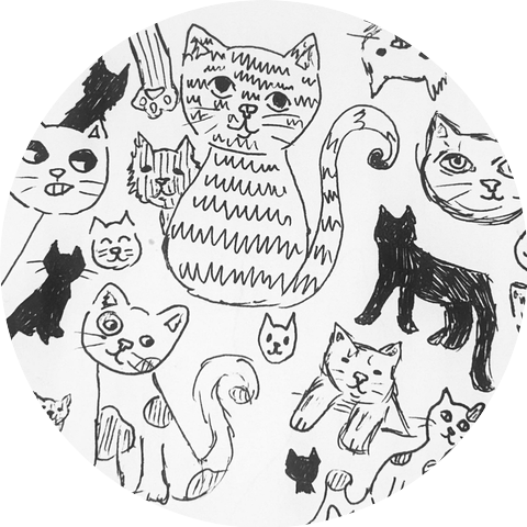 Drawing Cats