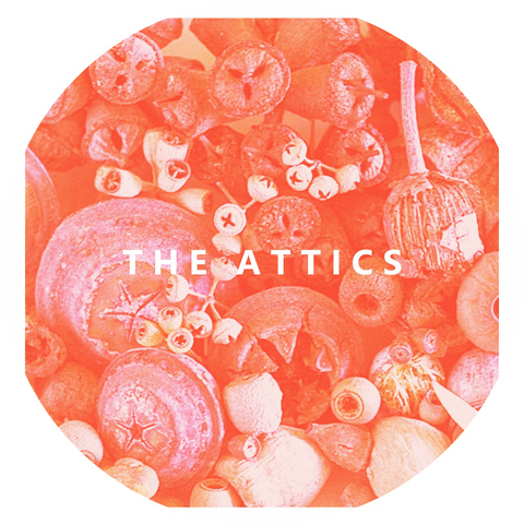 The Attics