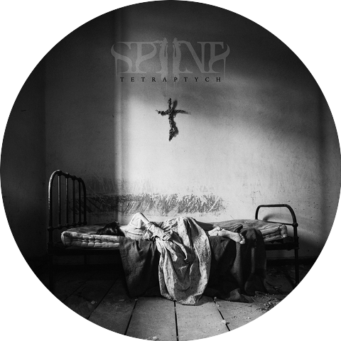 Spiine