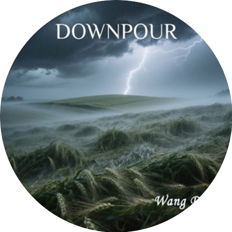 Wang Du