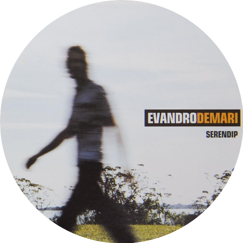 Evandro Demari