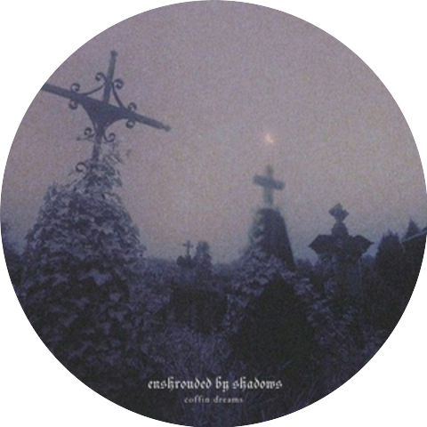 Enshrouded by Shadows