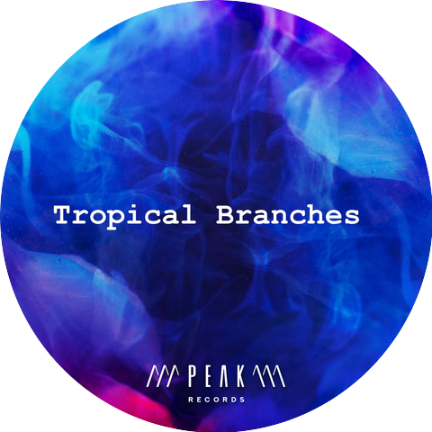 Rainforest Meditation