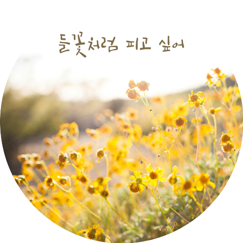 SiSi SongSong