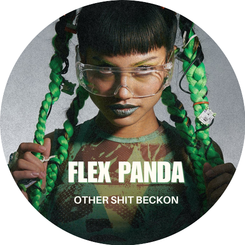 FLEX PANDA