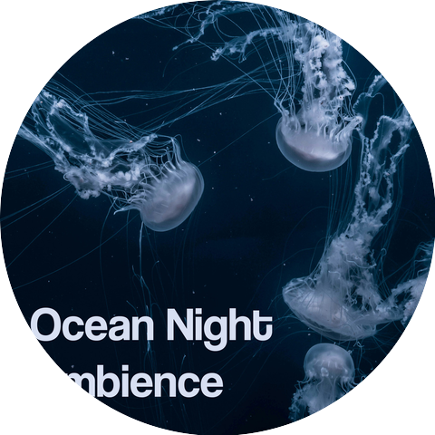 Ocean Noises, Relaxing Ocean Sounds