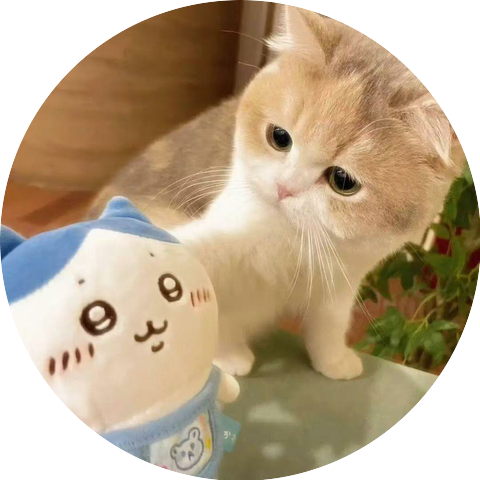 小猫收藏馆