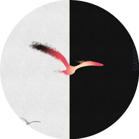 David Mazibrada, Chiara Kilchling