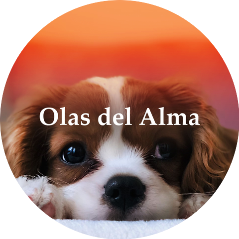 Som De Chuva Para Dormir