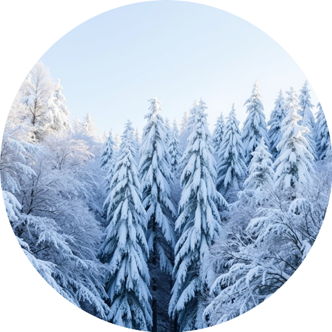 Joasvério Quintarélio