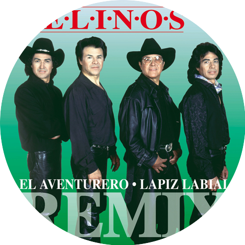Los Felinos