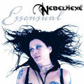Nebelhexe