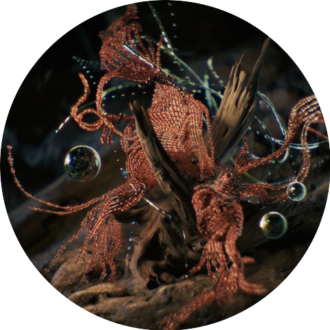 Da Iguana
