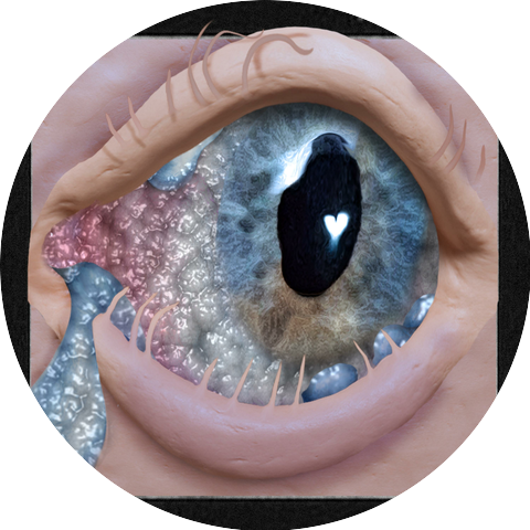 Toyota Vangelis, Zapomělsem