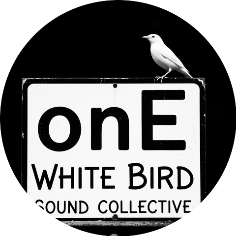 White Bird Sound Collective