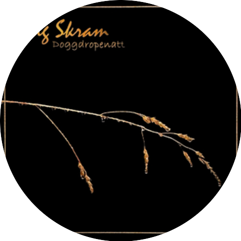 Dag Skram