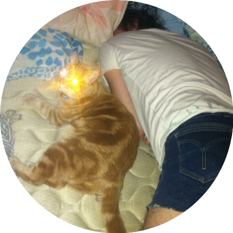 Singer. Mattress. Cat.