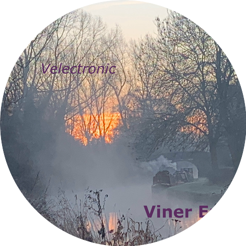 Viner Em