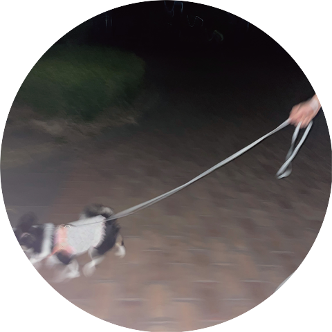 IKDO