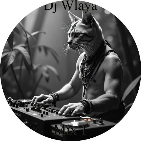 Dj Wlaya