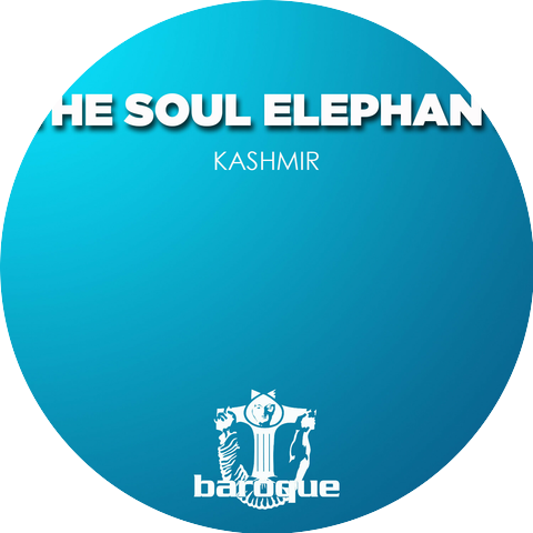 The Soul Elephant