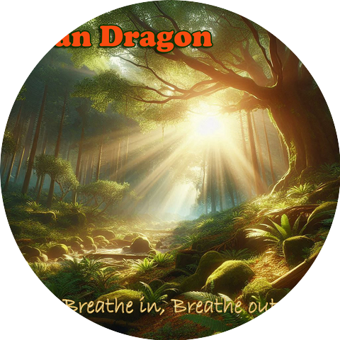 Sean Dragon