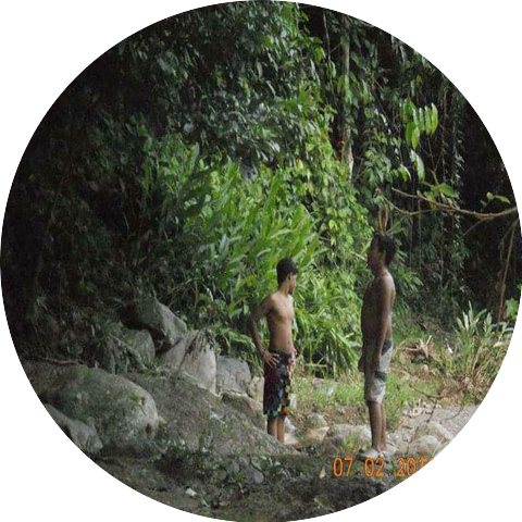 Mafi