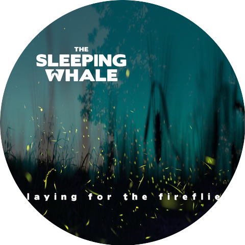The Sleeping Whale