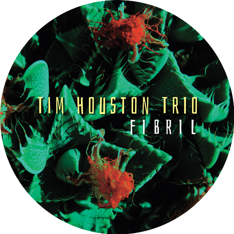 Tim Houston