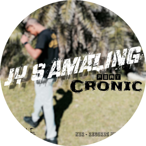 Pinnacle Records Ent