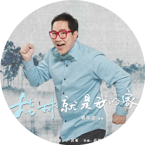 Liu Er Jin