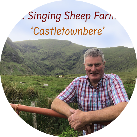The Singing Sheep Farmer