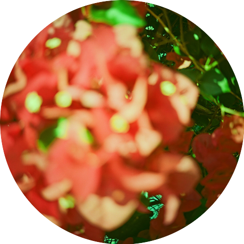 Dear Gravity, Six Missing