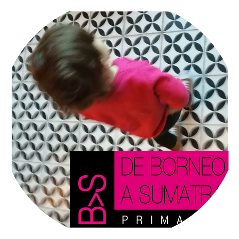 De Borneo a Sumatra
