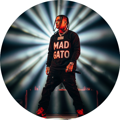 MAD GATO