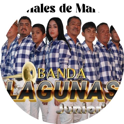 Banda Lagunas Junior´s