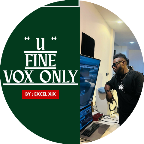 Excel Xix