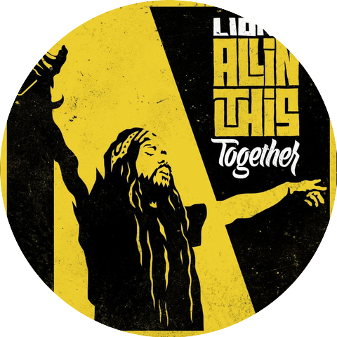 Lion D