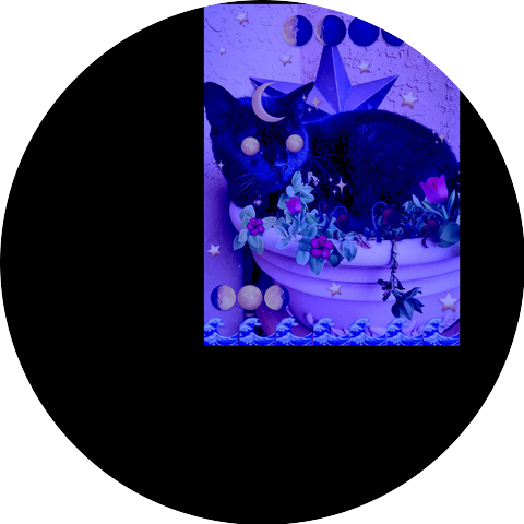 The Brett Fairchild Project