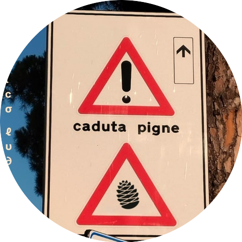 Pubblico Ludibrio