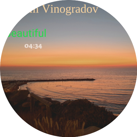 מקסים וינוגרדוב